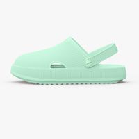 Cloud Mint